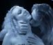 L'amour est aveugle 2 : Séduction multiple, coups de foudre et bimbos