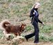 Amanda Seyfried fait de la randonnée avec son chien à Los Angeles le 24 novembre 2011 