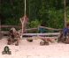 Epreuve d'immunité dans Koh Lanta - Raja Ampat le vendredi 2 décembre 2011 sur TF1
