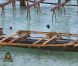 Epreuve d'immunité dans Koh Lanta - Raja Ampat le vendredi 2 décembre 2011 sur TF1