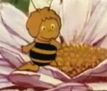 Le générique du dessin animé, Maya l'abeille