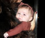 Harper Seven Beckham, âgée de 6 mois seulement, est déjà un bébé modèle qui ne s'habille qu'en Bonpoint. 