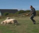 Le Chef en Bretagne, la nouvelle émission de Cyril Lignac sur M6