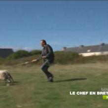 Le Chef en Bretagne, la nouvelle émission de Cyril Lignac sur M6