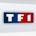 TF1 : Deux séries pour contrer Scènes de ménages et Plus belle la vie