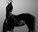 Lady Gaga a dévoilé en juillet 2012 une étrange photo d'elle croisée avec une licorne, prémices de son prochain album,  ARTPOP .