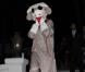 Isla Fisher déguisée en singe se rend à une soirée Halloween, à Beverly Hills, le 29 octobre 2012