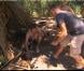 24e jour sur le camp blanc - Ugo s'est fait piquer par une raie dans Koh Lanta 2012, vendredi 21 décembre 2012 sur TF1