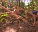 Épreuve d'immunité remportée par Philippe dans Koh Lanta Malaisie, vendredi 21 décembre 2012 sur TF1