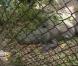 Visite des reptiles dans Les Anges de la télé-réalité 5 le mercredi 6 mars 2013 sur NRJ 12
