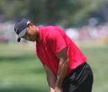 Tiger Woods