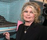 Brigitte Bardot, ''surprise'' : Elle a enfin retrouvé son chat !