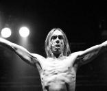 Iggy Pop