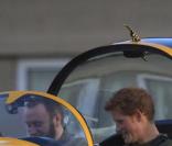 Le Prince Harry