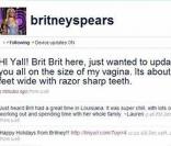 Capture d'écran du site de Britney Spears piraté
