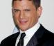 Le beau tatoué de Prison Break, Wentworth Miller, 36 ans, fait chavirer le coeur de beaucoup de monde. Si les rumeurs vont bon train sur sa vie privée, il ne laisse rien filtrer, ce qui nous permet de toujours rêver. 
