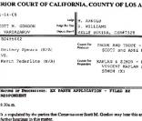 Britney Spears perd son droit de visite: les papiers officiels