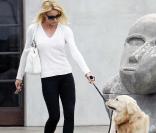 Nicollette Sheridan
