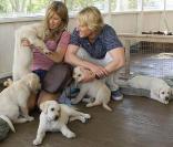  La comédie sentimentale... et canine Marley & Moi, avec Jennifer Aniston et Owen Wilson, en salles le 4 mars ! 