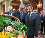 Réception à l'Elysée jeudi soir pour le 1 er Mai suivant la tradition. Nicolas Sarkozy recevait les marchands de Rungis avec la reine du muguet et ses deux miss.
