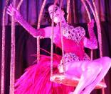 Dita Von Teese lors de son show au VIP Room lundi soir...