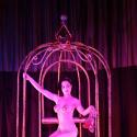 Dita Von Teese dans le plus simple appareil va vous enchanter... C'est très beau !