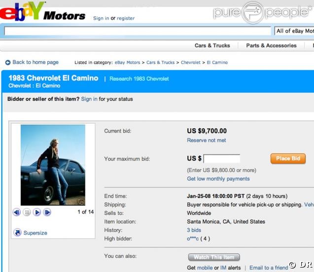 Daryl Hannah fait confiance à eBay