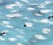 Le film documentaire Home de Yann Arthus-Bertrand