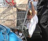 Ryan Philippe et son fils Deacon font du shopping à Los Angeles (17 juin)