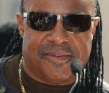 Stevie Wonder a repris 