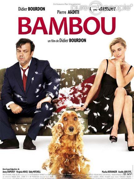[film comique] BAMBOU 245645-l-affiche-du-film-bambou-637x0-2