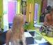 Nouveau clash entre Angie et Romain