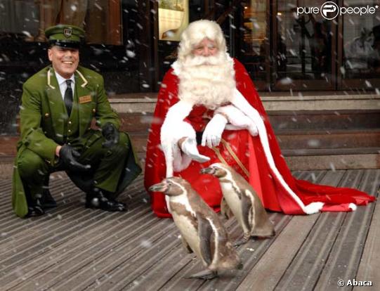 Le père noël hante le magasin Harrod's le 4 août 2009, entouré de vrais pingouins et sous la neige