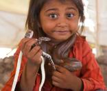 Au village des charmeurs de serpents, à Gujarat, les habitants enfants comme adultes vivent en colocation avec les reptiles les plus dangereux...