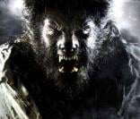 Des images de <i>Wolfman</i> !