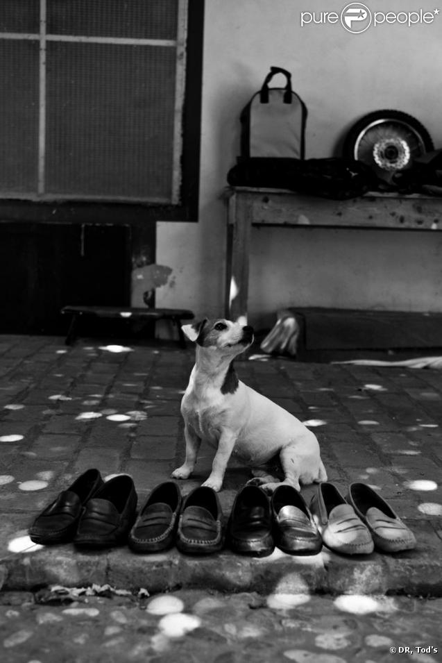 Campagne publicitaire Tod's / Italian Touch aux éditions Skirà pour Flammarion