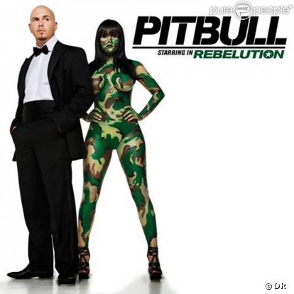 Pitbull sortira l'album  Rebelution  le 31 août 2009