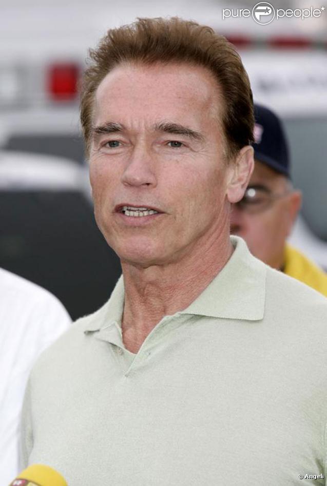 Arnold Schwarzenegger. Maintenant reconverti dans la politique, l'acteur a joué dans le film  True Lies.  