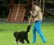 Michelle Obama : elle balade son chien comme tout le monde... Enfin presque !