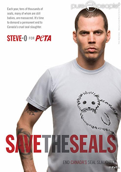 Steve-O se mobilise contre le massacre des phoques au Canada et prête son image à la PeTA.