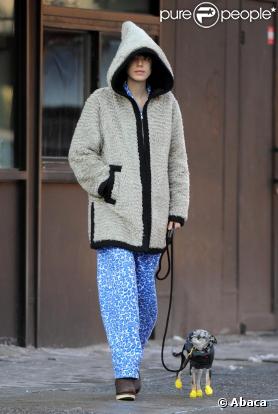 Agyness Deyn à New York avec son chien le 21/12/09