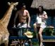 Adeline, très à l'aise avec Sophie la girafe