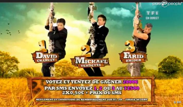 Lors des appels aux votes, David est associé au numéro 1, Mickaël au 2 et Farid au 3.