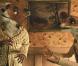 Des images de Fantastic Mr. Fox , de Wes Anderson.