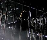 Alicia Keys en concert (8 mai 2010, Pays Bas)