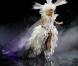Mercredi 7 juillet, c'est sur la scène du Madison Square Garden (New York) que Lady Gaga se produisait : elle était tout simplement sublime !