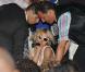 Une fois qu'on lui confie le micro, Paris Hilton ne peut plus s'en séparer : elle s'est déhanchée jusqu'au bout de la nuit sur la scène du VIP Room de St-Tropez, samedi 24 juillet.