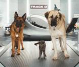 Des images de  Comme chiens et chats : La revanche de Kitty Galore , en salles le 4 août 2010.