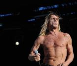 Jim Jarmusch, après avoir dirigé le rockeur dans <em>Coffee and Cigarettes</em>, réalisera un biopic consacré à Iggy Pop.