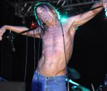 Iggy Pop